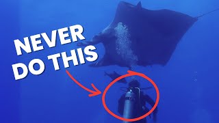 25 Things That Will Make You a Better Scuba Diver Overnight