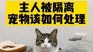 主人被隔离，家里的猫猫狗狗该如何处理？