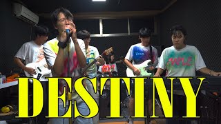 Destiny - SURL(설) | Band Cover | Cover by MAPLE