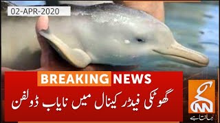 Ghotki | 2 Dolphins rescued and released in Sindh River | GNN | 02 April 2020