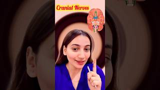 Learn Cranial Nerves| #norcet  #nursingofficer #aiims #cranialnerves #viralvideo #trending #shorts