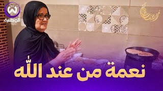 أفكر تعيش | العدد 1| السيدة نصيرة وحكايتها مع المطلوع لكسب قوتها