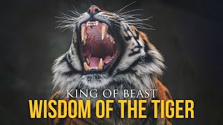 Wisdom Of The Tiger - Powerful Motivational Video