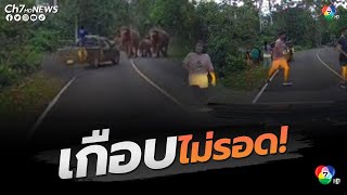 เกือบไม่รอด! นาทีระทึกช้างป่าวิ่งเข้าหาคน | ข่าวออนไลน์ 7HD