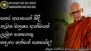 සතර අපායෙන් මිදී මනුශ්‍ය ආත්මයක් ලැබුන කෙනෙකු හඳුනා ගන්නේ කෙසේද? | Ven. Rajagiriye Ariyagnana Thero