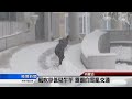 五月還下雪？