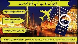 Denmark visa |Denmark work visa 2024 |Denmark country |Denmark visa from Pakistan 2024 |Denmark