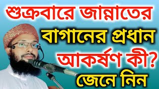 শুক্রবারে জান্নাতের বাজারে প্রধান আকর্ষণ কি? জানলে খুশিতে বেহুঁশ হয়ে যাবেন | mufti amdadul official