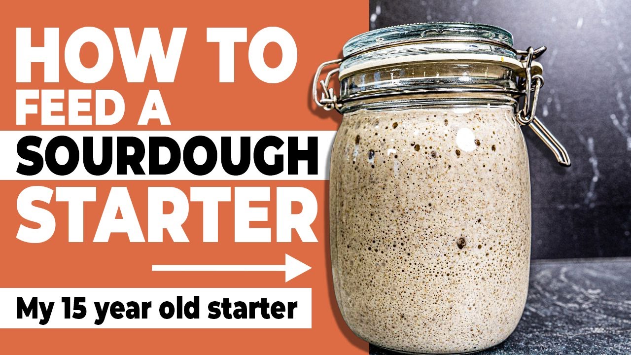 How I Feed My Sourdough Starter | How To Maintain A Sourdough Starter ...