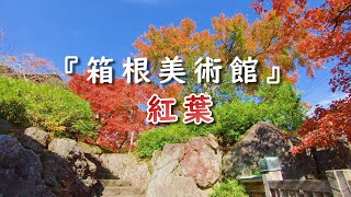 箱根美術館の紅葉  / 2021年名勝指定 神仙郷  (2021リメイク) [4K] #Hakone_Museum_of_Art  #Autumn_Leaves