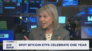 A remarkable first year for Spot Bitcoin ETFs