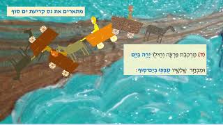 שירת הים - למידה מרחוק חזק ונתחזק