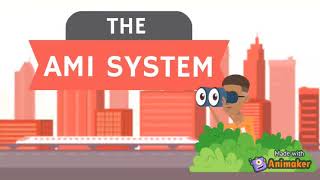 The Overview of AMI system