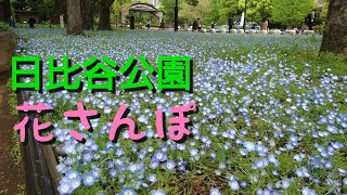 日比谷公園 花さんぽ 2021年4月16日