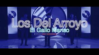 El Gallo Manzo - Los Del Arroyo - (En Vivo) - DEL Records 2018
