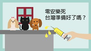 零安樂死將上路，台灣準備好了嗎？