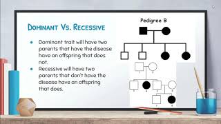 Biology: Biology 7-3: Pedigrees and Inheritance Patterns