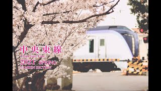 【鉄道PV】中央線 色彩の春 甲府城の桜 JR東日本 2021