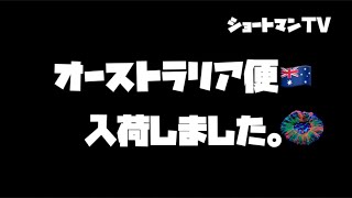 電撃入荷！オーストラリア便🇦🇺入荷情報〜ショートマンTV〜