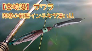 【宮崎港】サワラ　限界の新型インチキ（インチク）が凄い!!