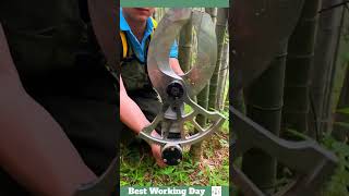 Best working day #847 Bamboo cutting tool