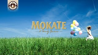 Компания MOKATE - ингредиенты для вендинга, чай Loyd и Minutka, напитки Mokate Caffetteria