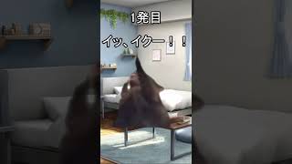 賢者タイム#shorts #猫ミーム