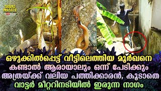 ഒഴുക്കിൽപ്പെട്ട് വീട്ടിലെത്തിയ മൂർഖനെ കണ്ടാൽ ആരായാലും ഒന്ന് പേടിക്കും Snakemaster EP 604