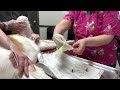 Urinary Catheter   Male canine resubmission