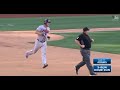 matt adams 2017 highlights