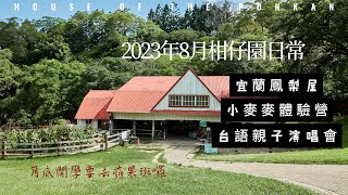 2023年8月柑仔園日常