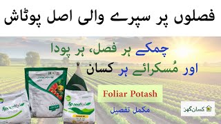 Asal potash for foliar spray for all crops | spray wali potash | Kissan Ghar | Speedfol | kleaf