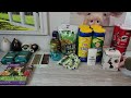 fun new dollar tree haul january 16 2025