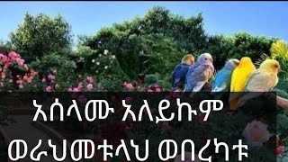 አሰላሙ አለይኩም ወራህመቱላህ ወበረካቱ