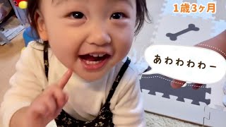 【1歳3ヶ月】「あわわわわー」【りあっぴ 成長記録】