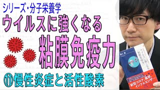 【ウイルスに強くなる粘膜免疫力】⑪慢性炎症と活性酸素（11/13）