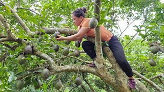 Video Full: 60 Days Build Garden - Harvest Fruit - Cooking - Live Whit Nature | Lý Thị Ca