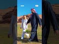 خيمة محمد بن سلمان في العلا