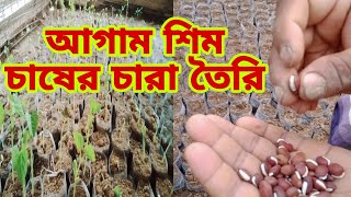 আগাম শিম চাষের চারা তৈরি / কেরালা জাতের শিমের চারা তৈরি /কৃষকের সপ্ন/২০২৪.