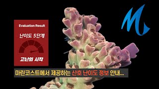 내가 사는 산호 이제 알고 삽시다 - 마린코스트에서 제공하는 산호 난이도 정보 안내