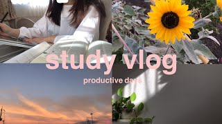 【vlog🎥】働きながら勉強する社会人の平日3日間｜study vlog,productive days,lots of cooking 🍳