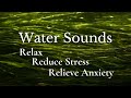 Immerse in the Gentle Sounds of Water as Plants Slowly Waver in the River Current...