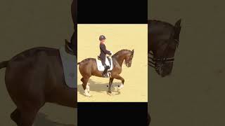 ★Dressage★#dressage#horse#edit#horse#equestrian_edit#horse_riding