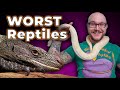 The 5 WORST Beginner Reptiles and 5 BETTER Options You've Never Heard Of!