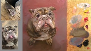 Directo - Pintando a Lucci - (Retrato de Mascotas)