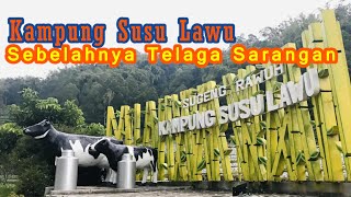 Kampung Susu Lawu Hanya 5 menit dari Telaga Sarangan