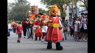 【2023 LIONS UP】0514府城獅吼宮  神轎出巡  吼力發大財