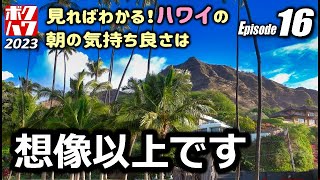 僕の好きなハワイ 2023 エピソード16「完璧な朝」カピオラニ公園・セグウェイ・レアヒビーチパーク・ワイキキ【HAWAII】【ボクハワ】