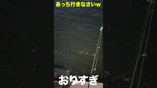 こっち来んなって………釣れるなって……ww