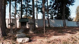 菅原神社【千葉県野田市吉春】Sugahara Shrine【Yoshiharu, Noda, Chiba】環境音/神社参拝